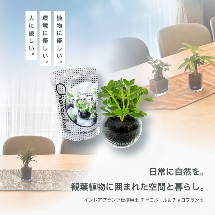 植物に優しい