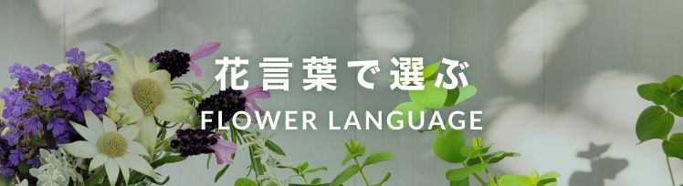 花言葉で選ぶ